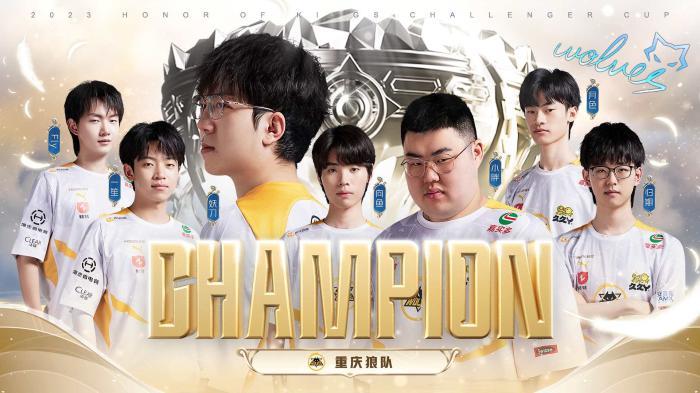 他的这些数